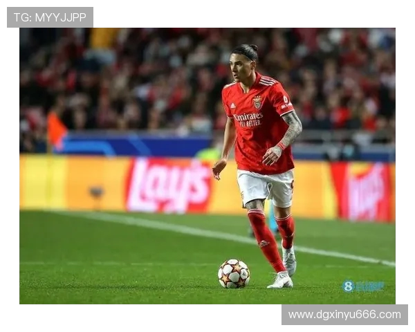 努涅斯在赛季中的表现分析与未来发展潜力探讨