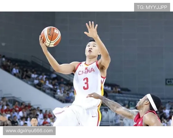 贺希宁：从篮球新星到职业生涯巅峰的奋斗历程与成就分享